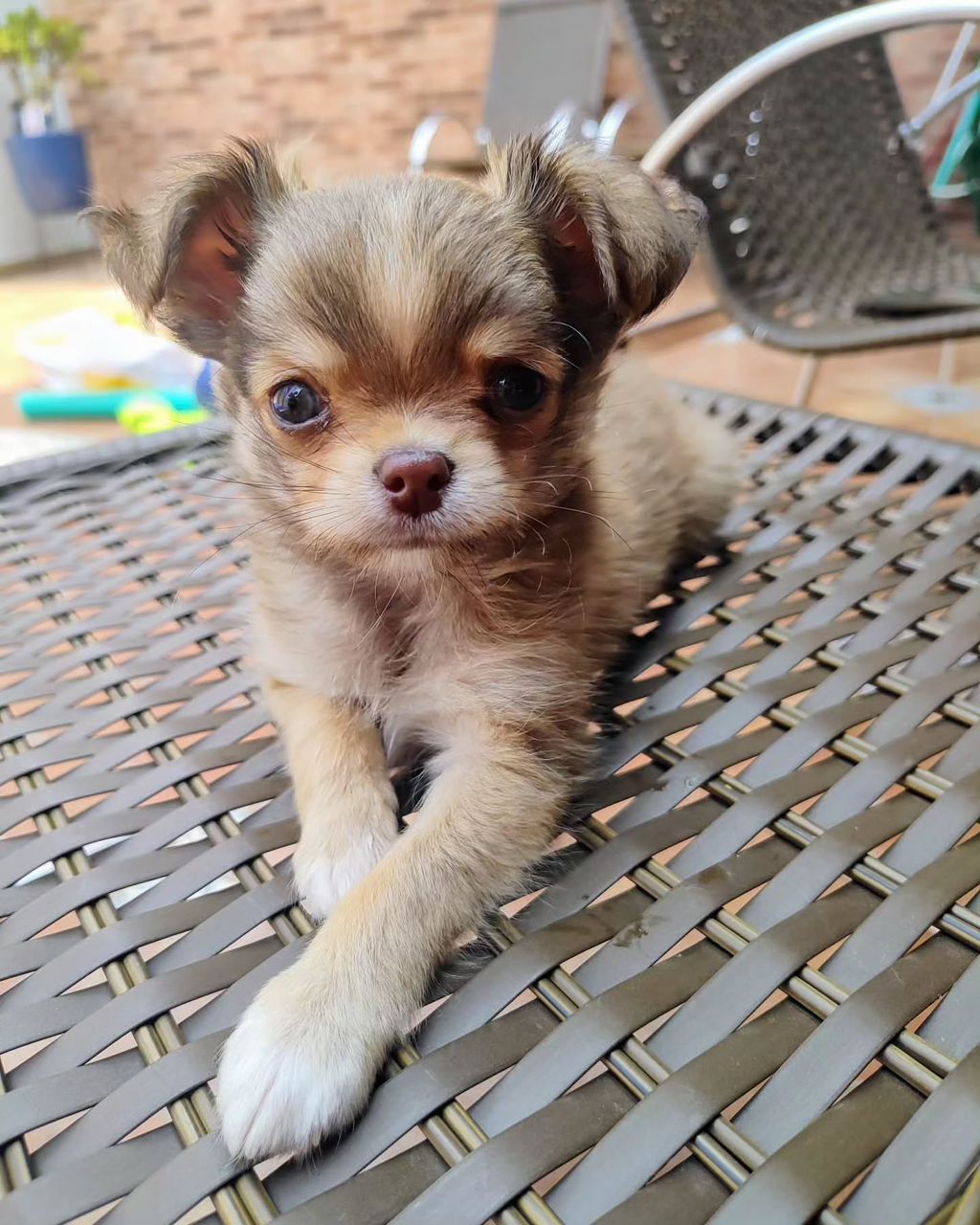 Max